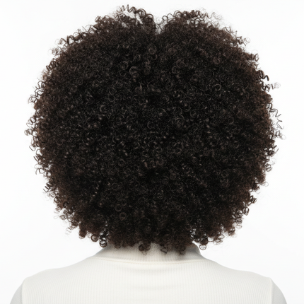 Black woman back view kinky curly bob wig, glueless lace
